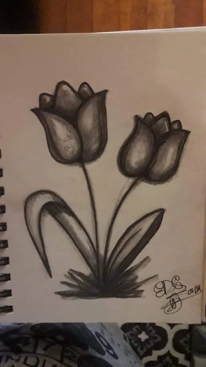 Whispers of Spring: A Monochrome Tulip Sketch