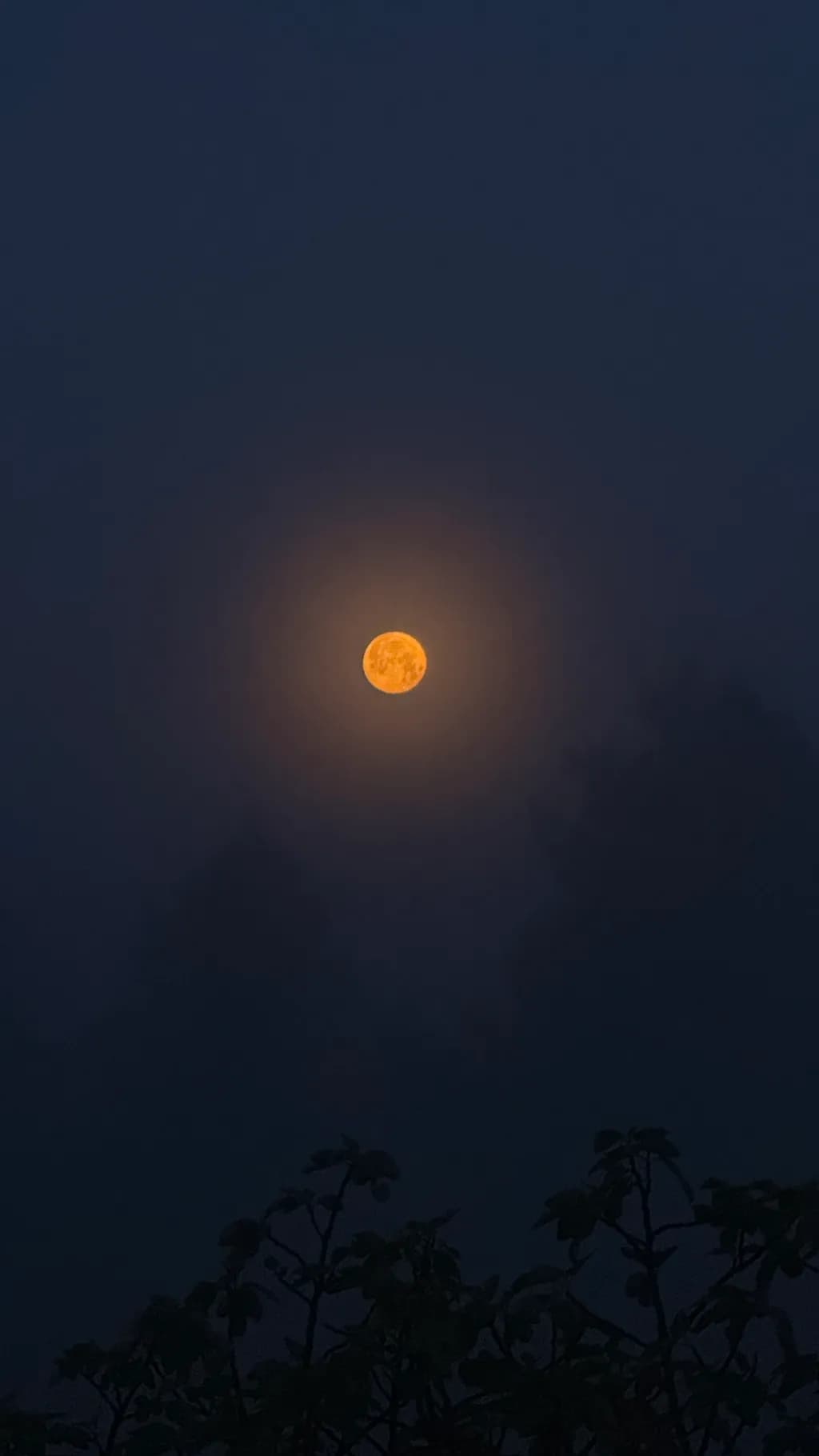 Moonlit Serenity: A Glimpse of Tranquility in the Misty Night Sky