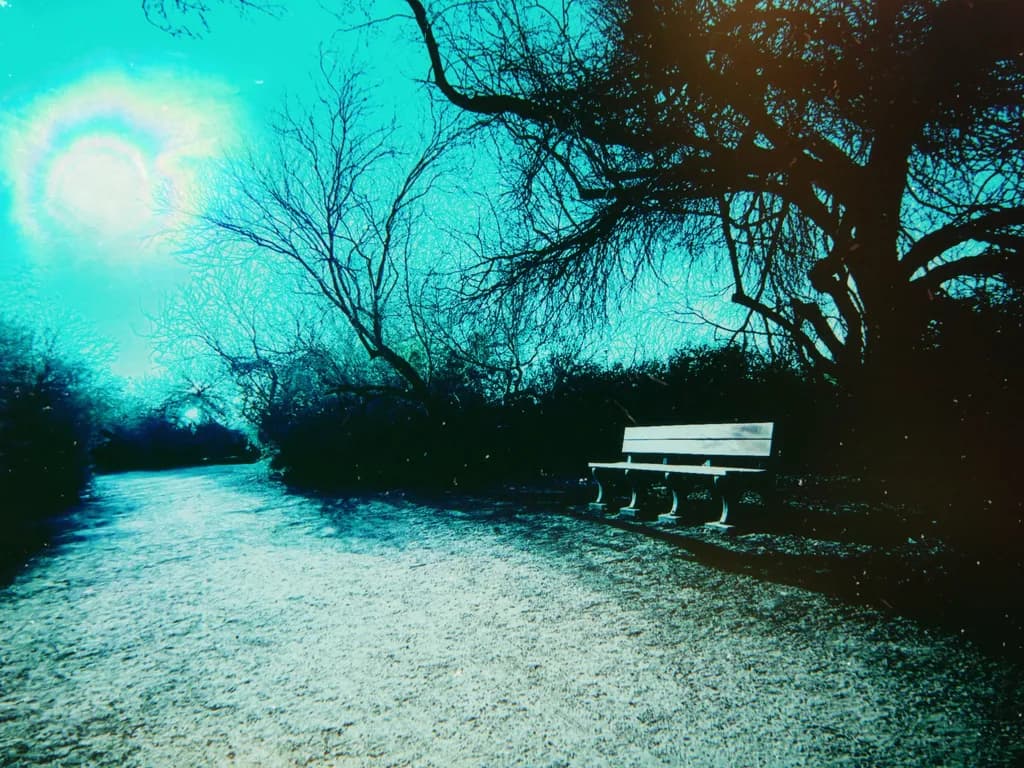 Empty Bench Shadows