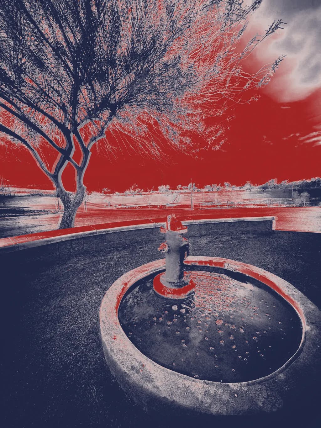 Scarred Signal