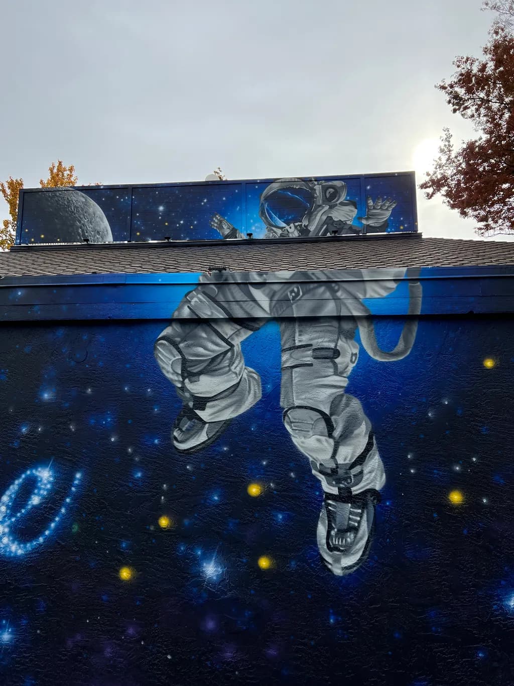 Cosmic Dreams: An Astronaut's Journey Through the Stars