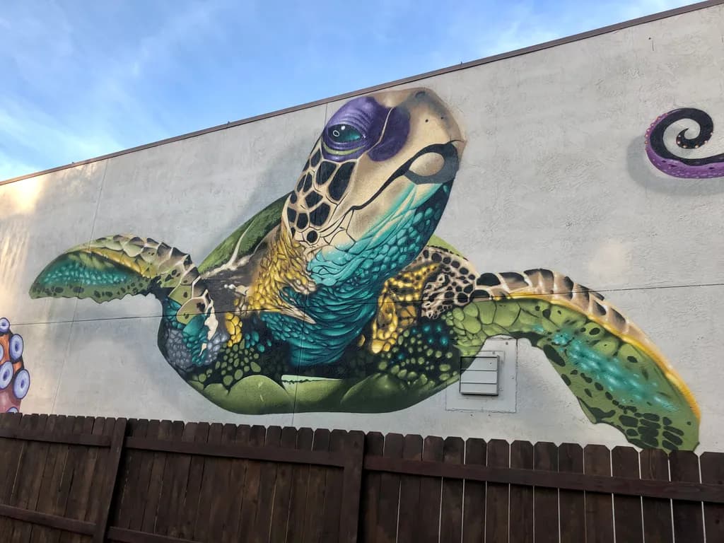 Turtle Dreams