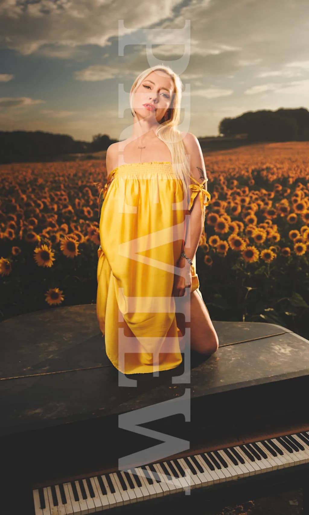 Sunflower Field Sonata