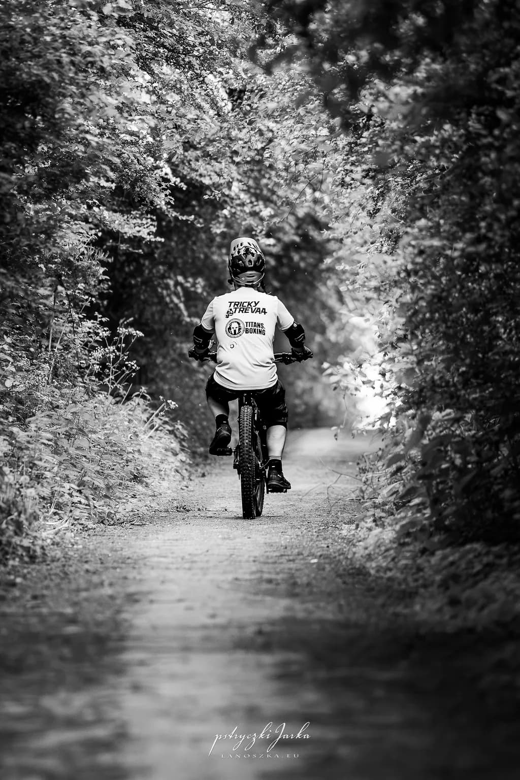 Journey Through the Shadows: A Cyclist's Solitude in Nature's Embrace