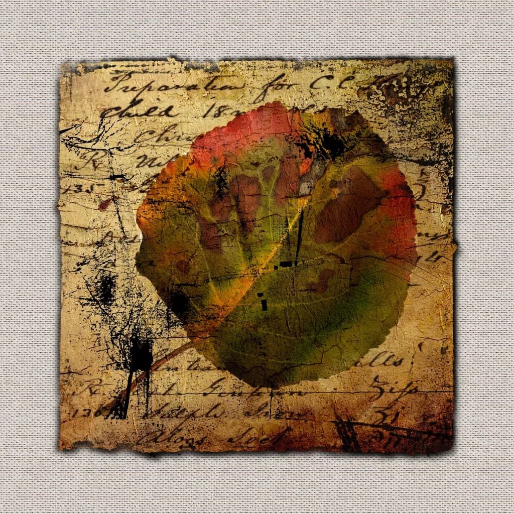 Whispers of Time: A Leaf's Journey Through Forgotten Pages