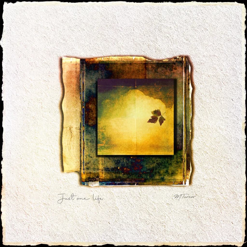 Whispers of Nostalgia: A Leaf's Journey Through Life's Textures