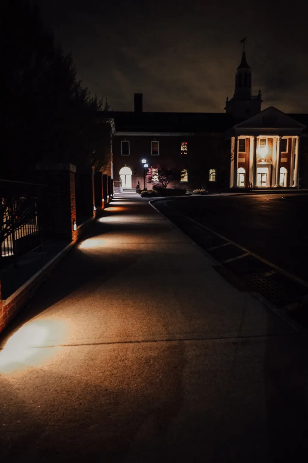 Whispers of the Night: A Serene Stroll Through Illuminated Shadows