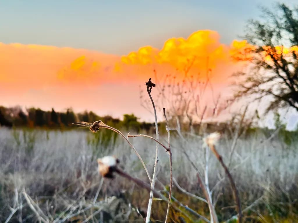 Whispers of Twilight: A Serene Landscape at Dusk