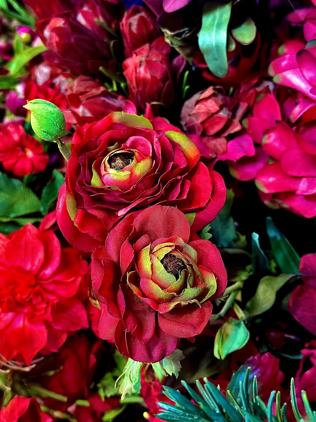 Vibrant Red Blossoms: A Captivating Floral Symphony in Nature's Palette