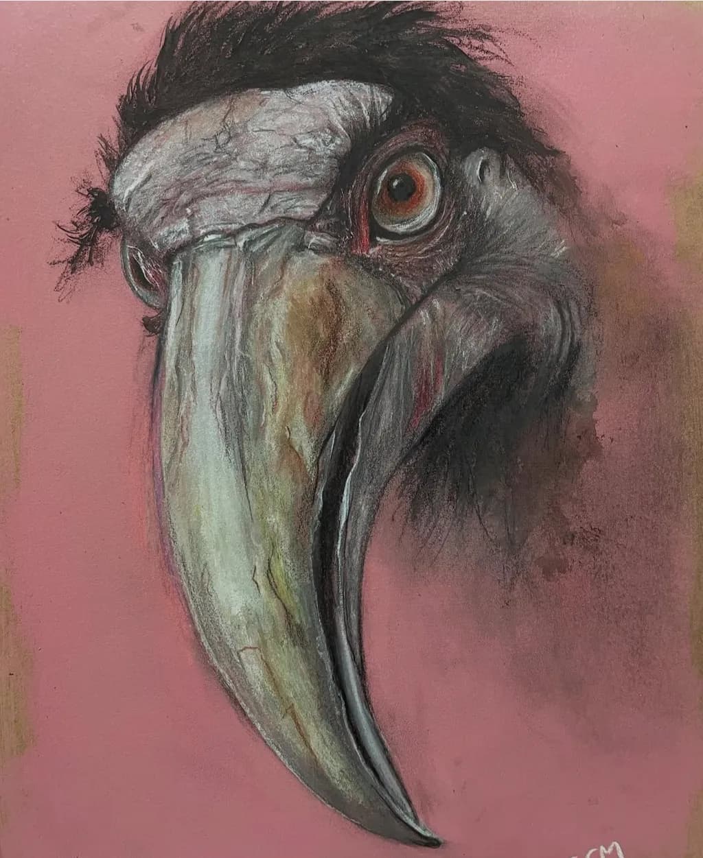 Vibrant Encounter: The Majestic Beak of the Bird Against a Soft Pink Canvas