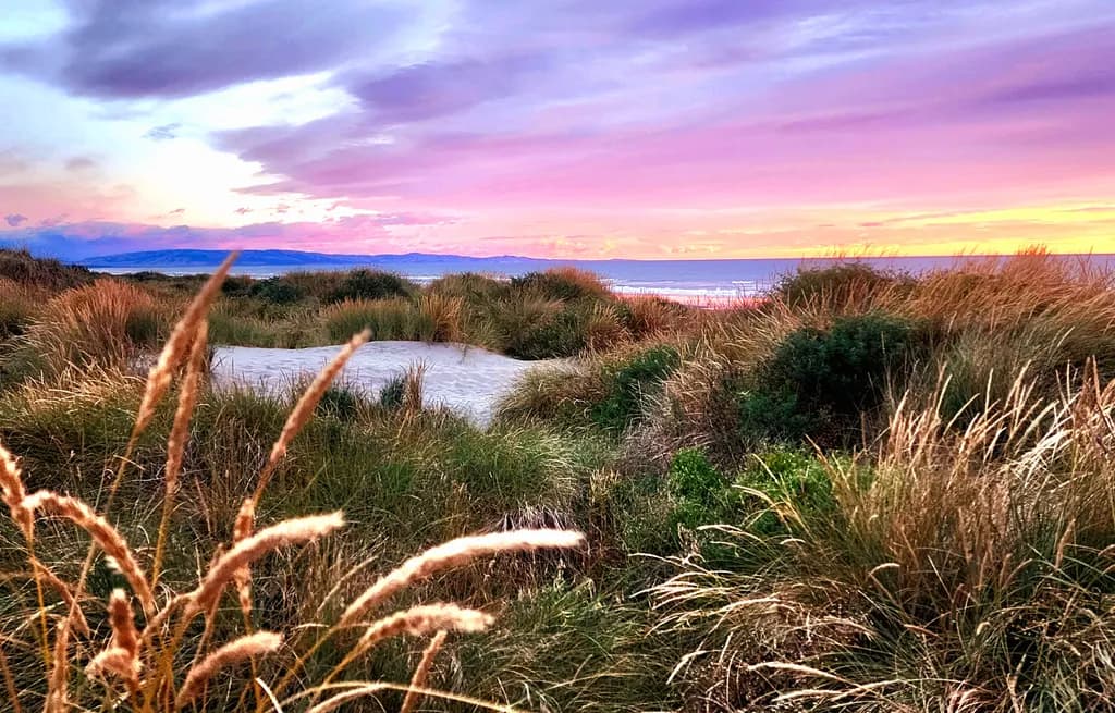 Whispers of the Dunes: A Serene Sunset Over Coastal Grasses