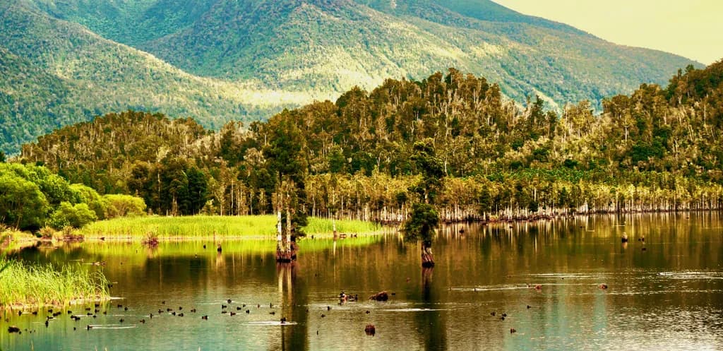 Whispers of Tranquility: A Serene Reflection on Nature's Canvas