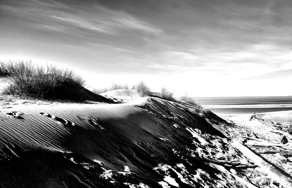 Whispers of the Dunes: A Serene Journey Through Coastal Landscapes