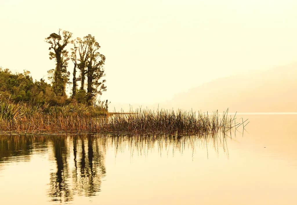 Whispers of Serenity: A Tranquil Reflection on Still Waters
