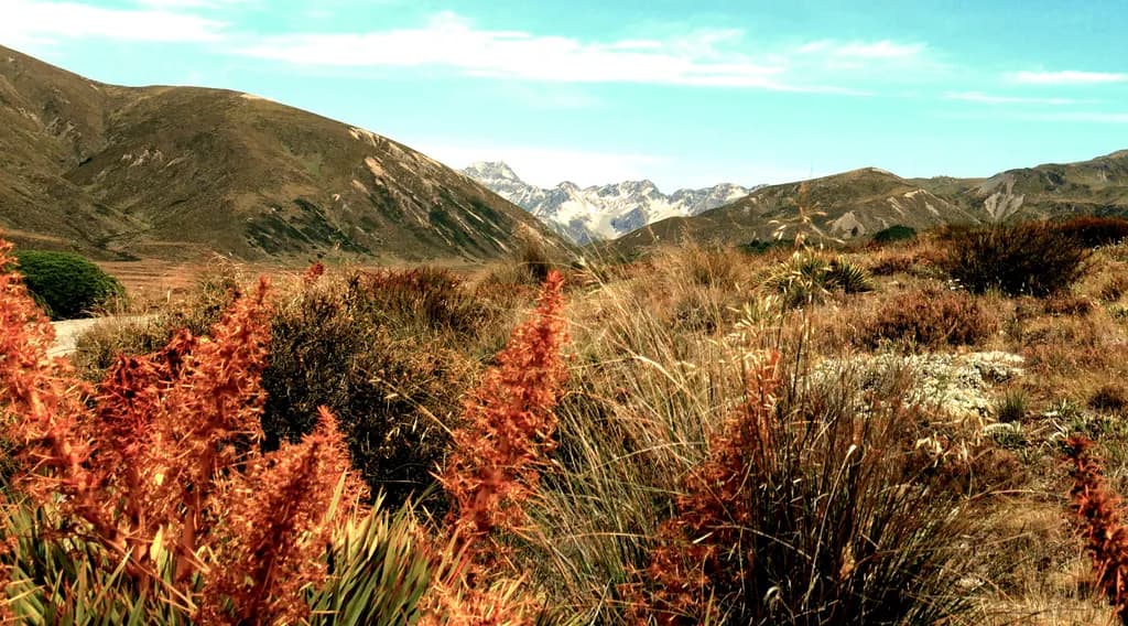 Whispers of Tranquility: A Scenic Journey Through Majestic Mountains and Vibrant Flora