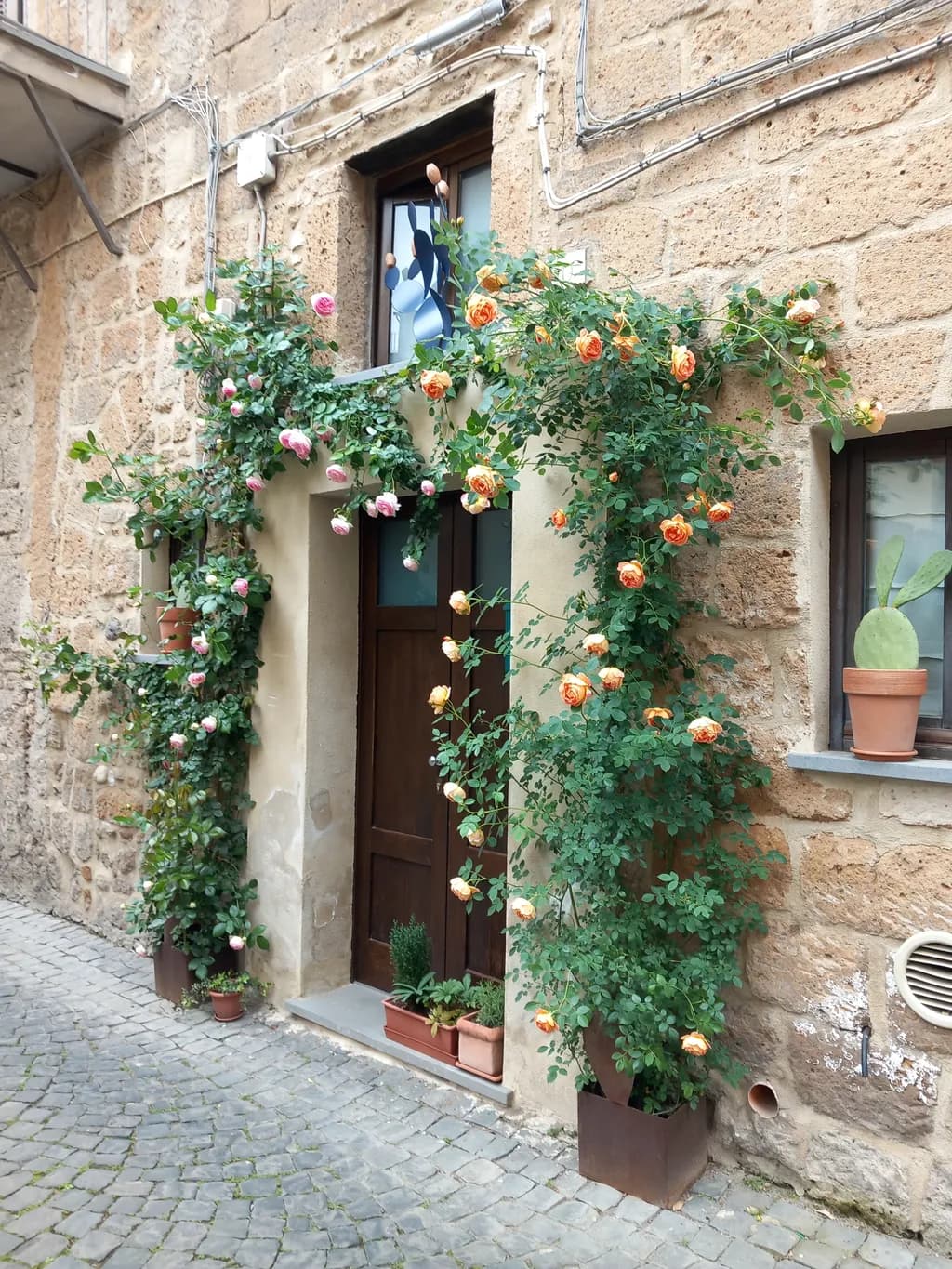 Charming Floral Facade: A Serene Entrance Adorned with Roses and Greenery