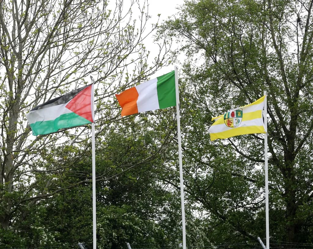 Unity in Diversity: Flags of Identity Amidst Nature's Embrace