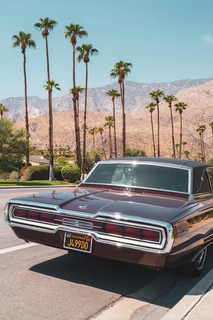 Cruising Through Palm Paradise: A Vintage Car Against a Desert Backdrop