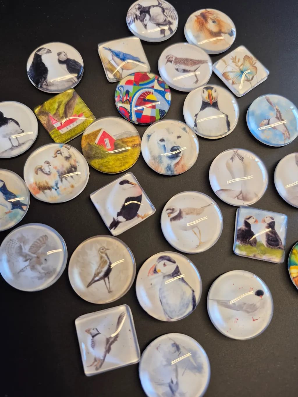 Whimsical Wildlife: A Collection of Illustrated Animal Buttons for Nature Lovers