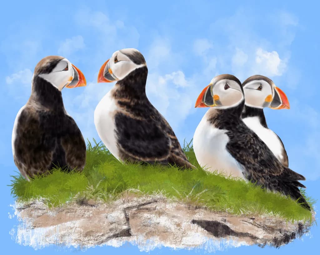 Whimsical Puffin Quartet: A Playful Encounter on the Cliffs of Nature