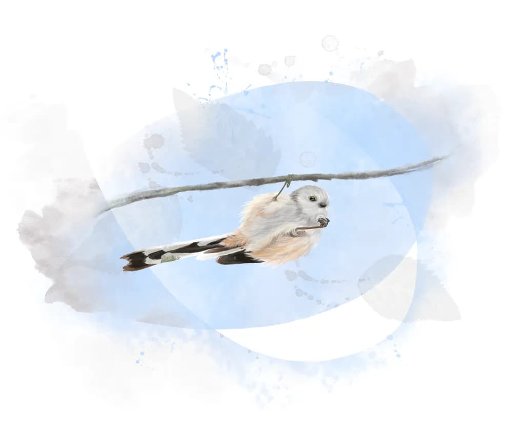 Whispers of the Sky: A Delicate Bird on a Branch