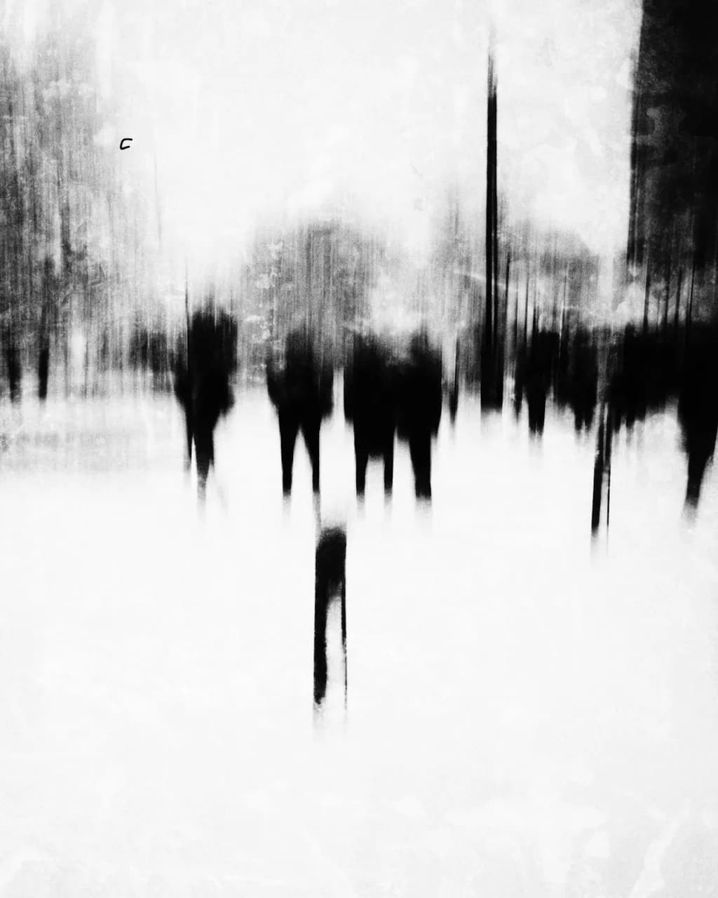 Winter Crowd