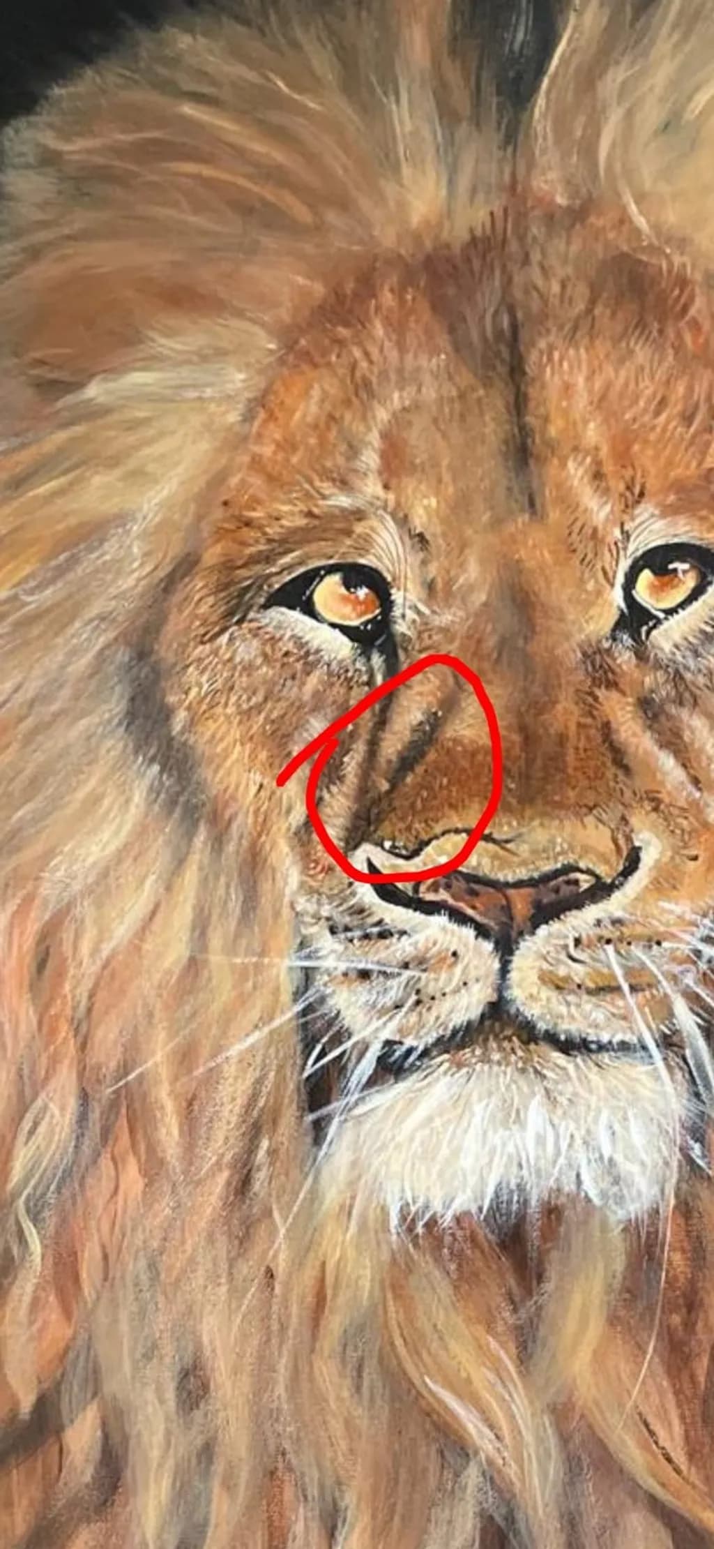 Lion's Gaze