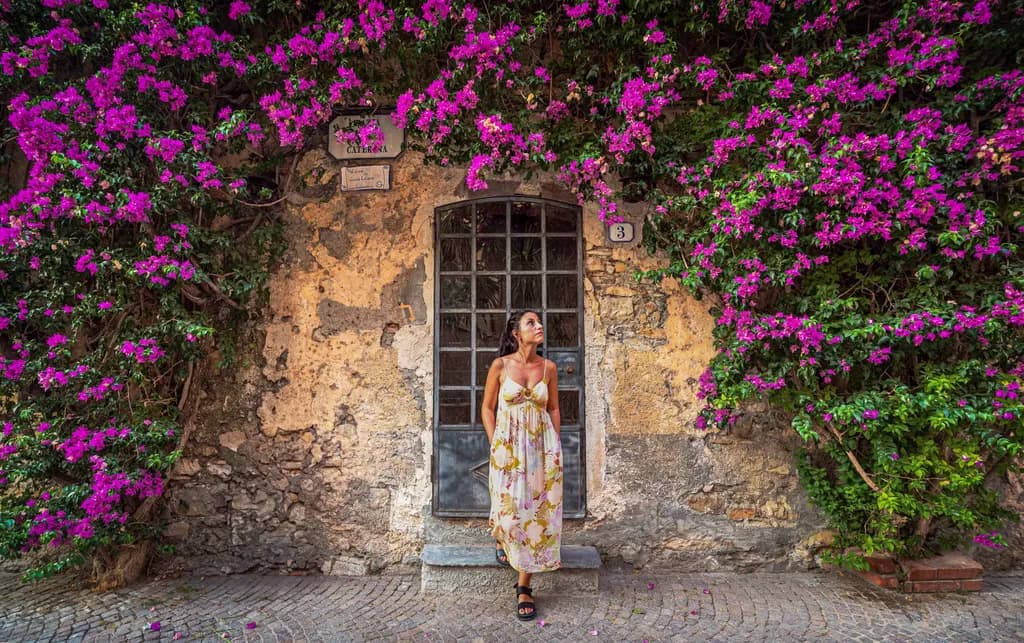 Whispers of Bougainvillea: A Serene Stroll Through a Colorful Passageway