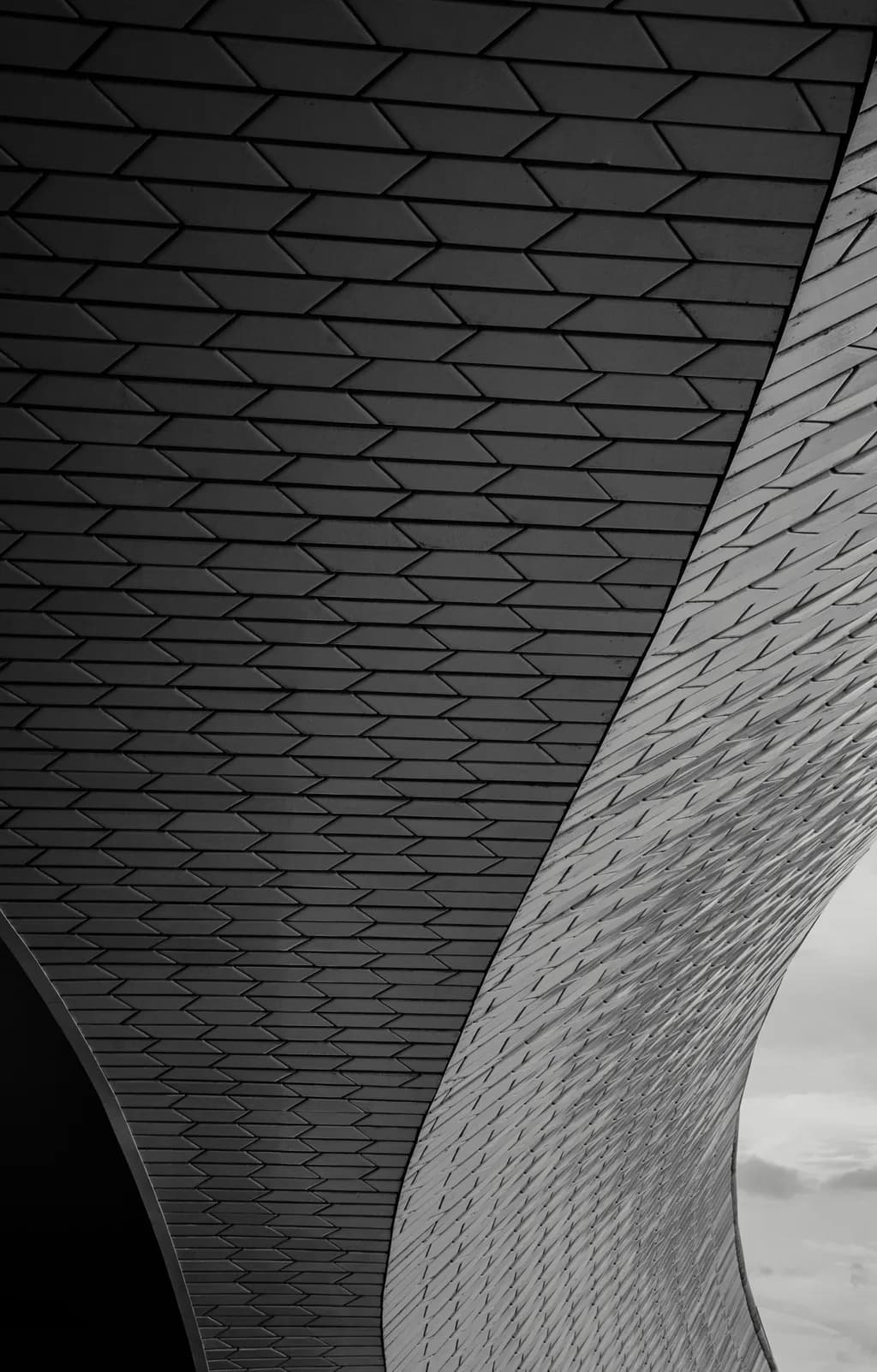 Curves of Modernity: A Monochrome Exploration of Architectural Elegance