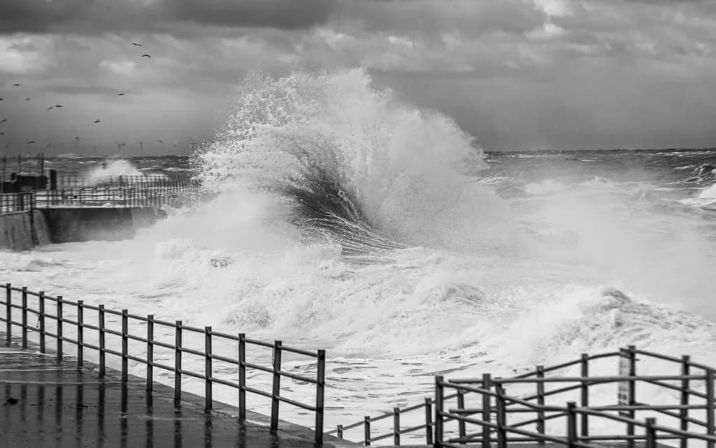 Tempestuous Waves: A Monochrome Dance of Ocean Fury
