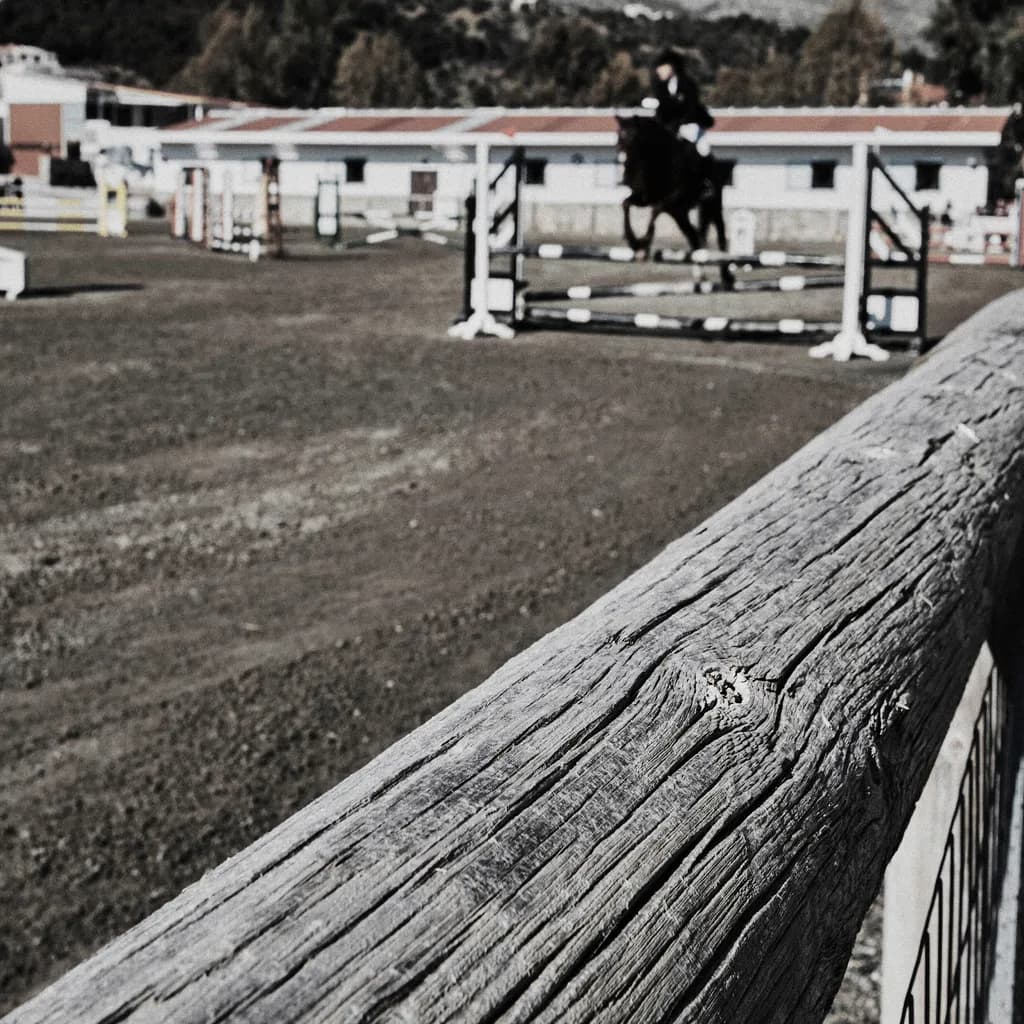 Equestrian Elegance: A Moment Captured in Motion at the Jumping Arena