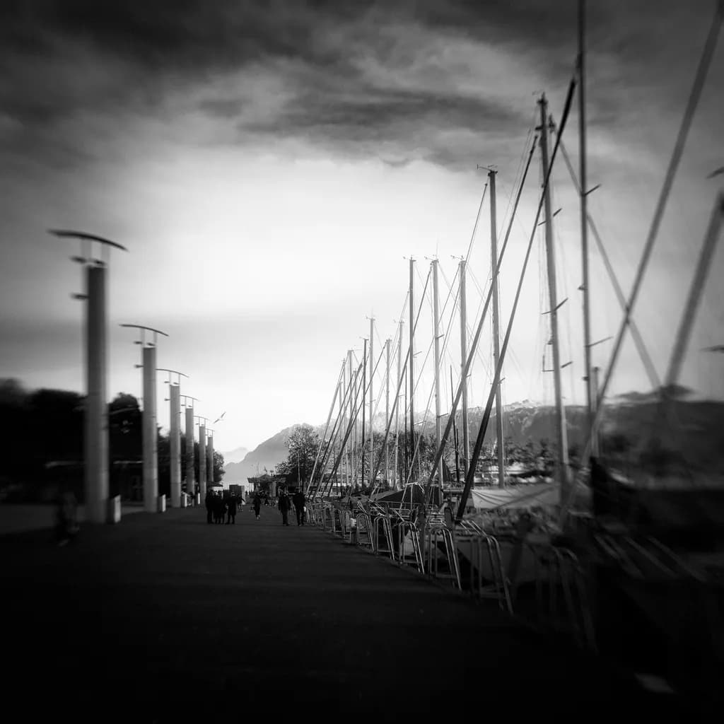 Marina Silhouettes