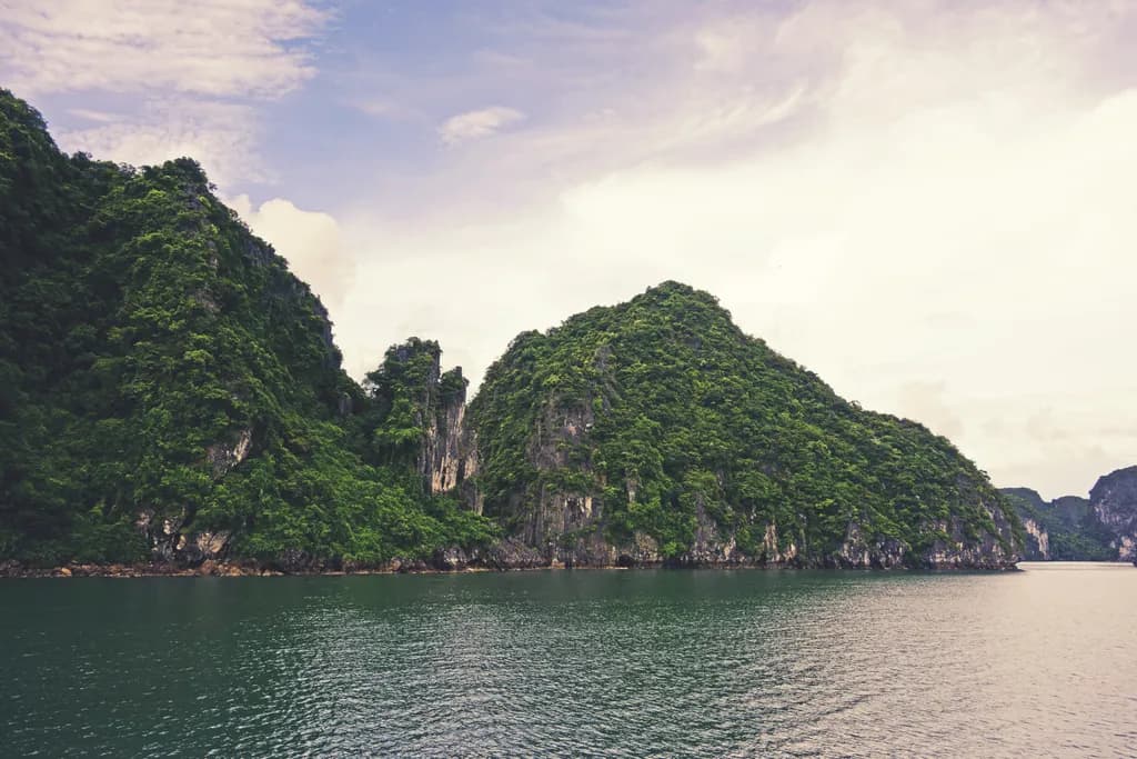Serenity in Green: A Tranquil Landscape of Water and Mountains