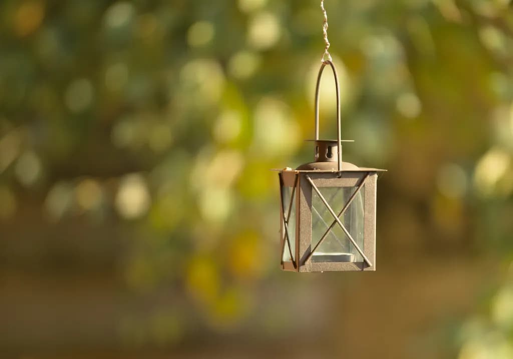 Whispers of Light: A Vintage Lantern Illuminating Nature's Embrace