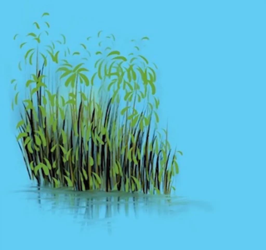 Whispers of Serenity: Lush Greenery Embracing Tranquil Waters