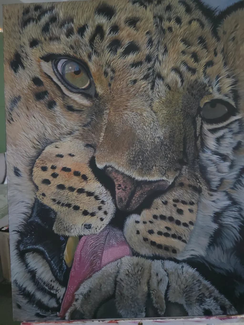 Leopard's Gaze