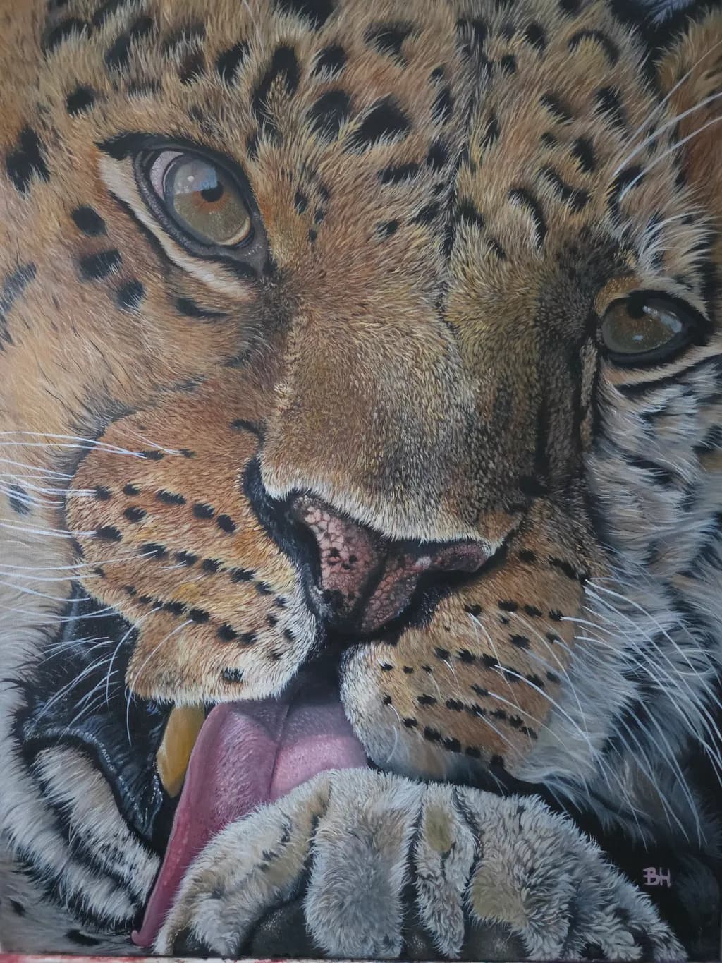 Leopard Close-Up