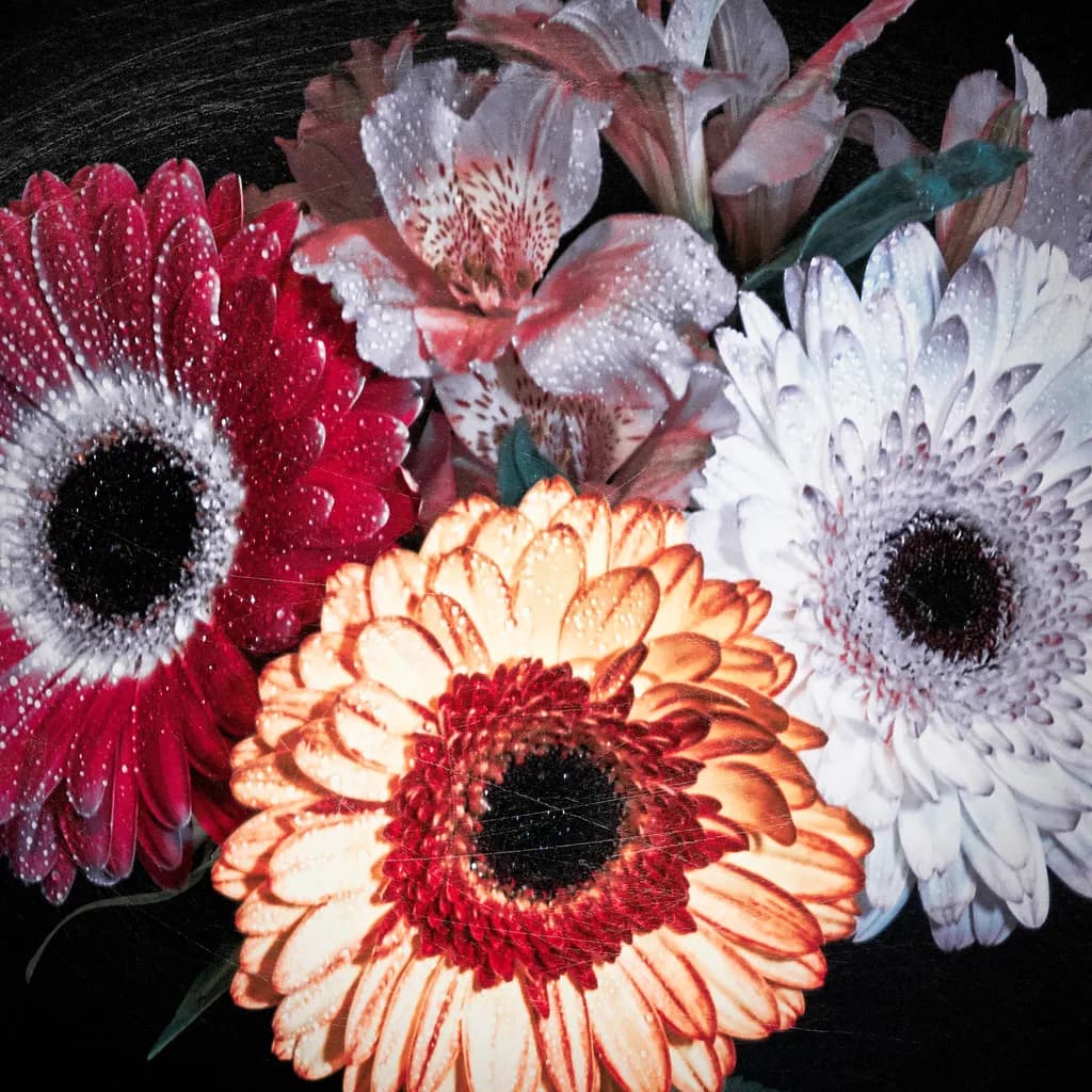 Nature's Palette