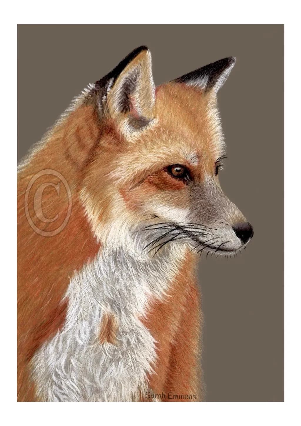 Whispers of the Wild: A Realistic Portrait of a Majestic Fox