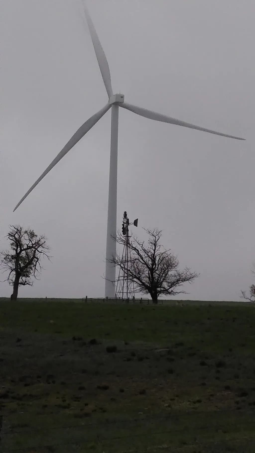 Whispers of Wind: A Dance Between Nature and Technology in a Gloomy Landscape