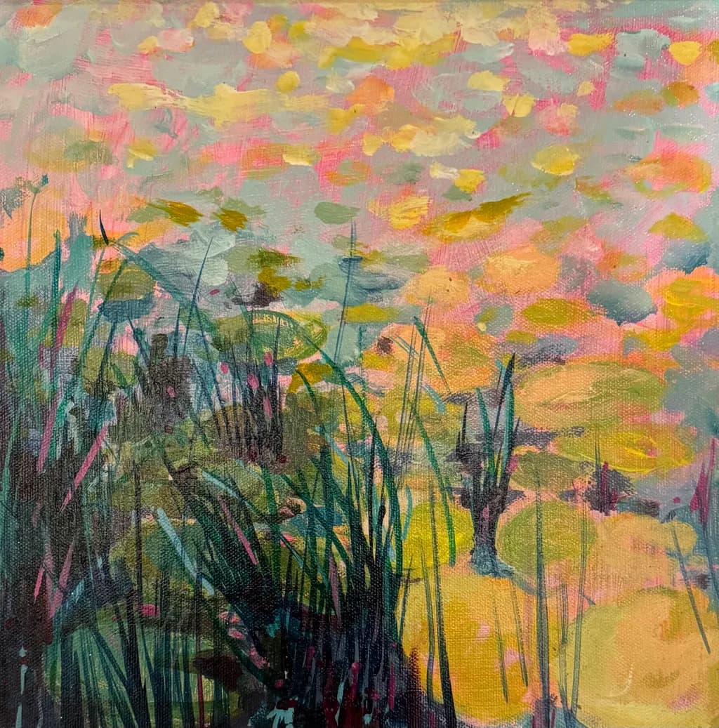 Lily Pond Reflections