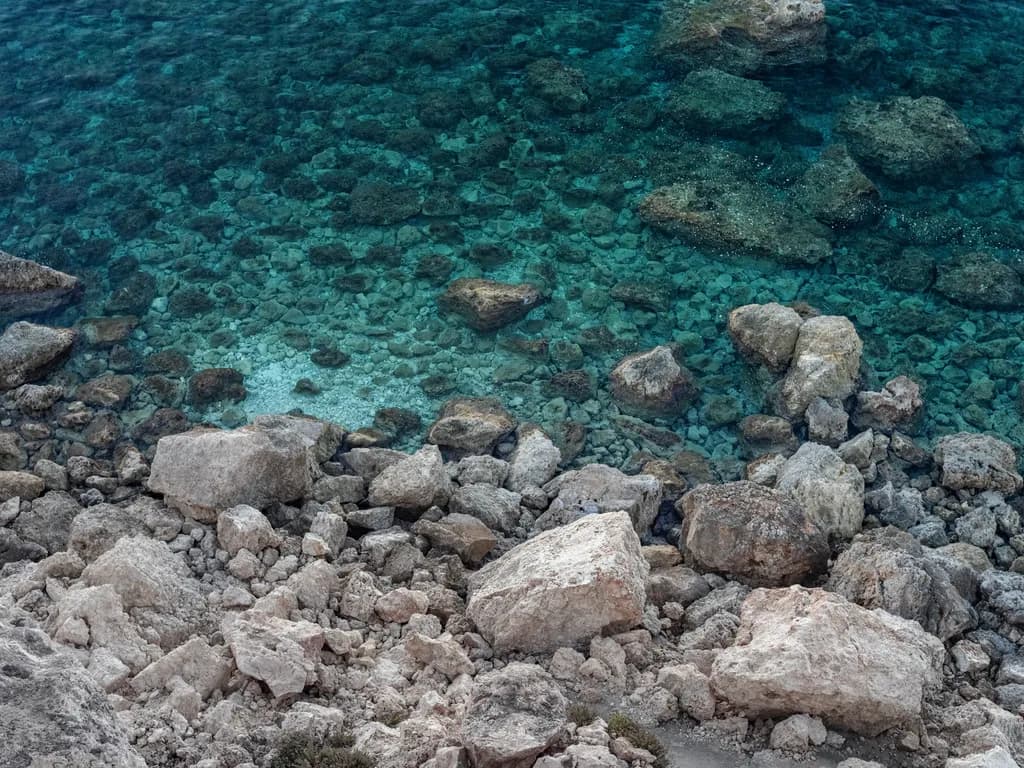 Coastal Clarity