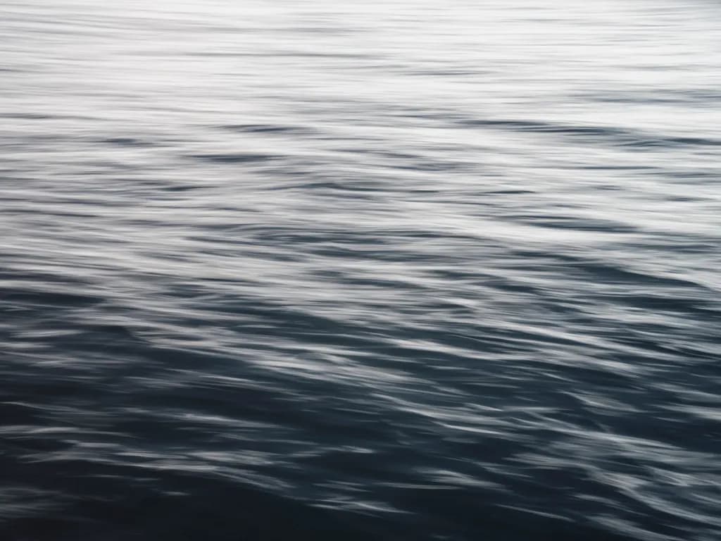Fluid Reflections