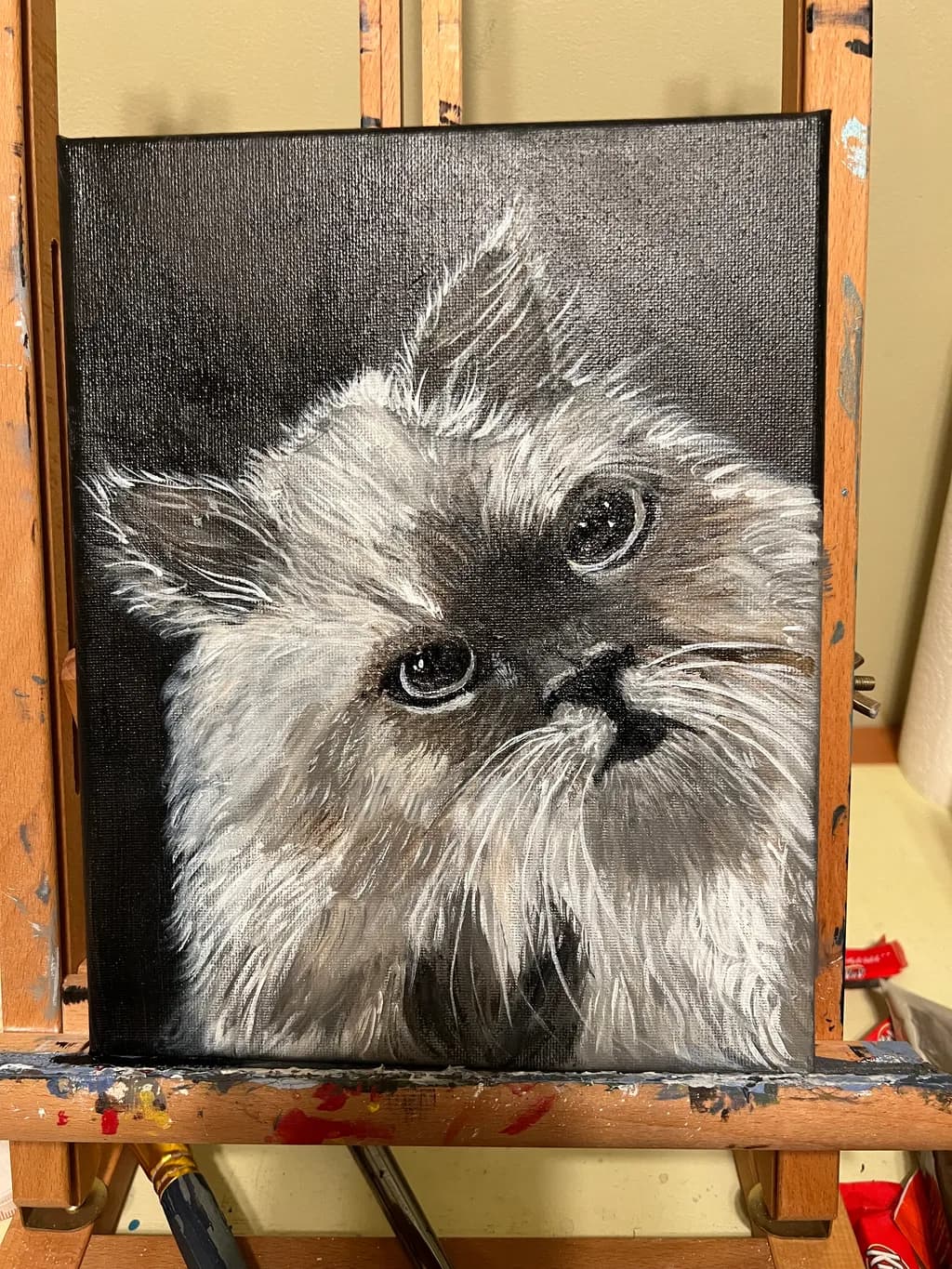 Whiskered Wonder: A Portrait of Feline Grace and Charm