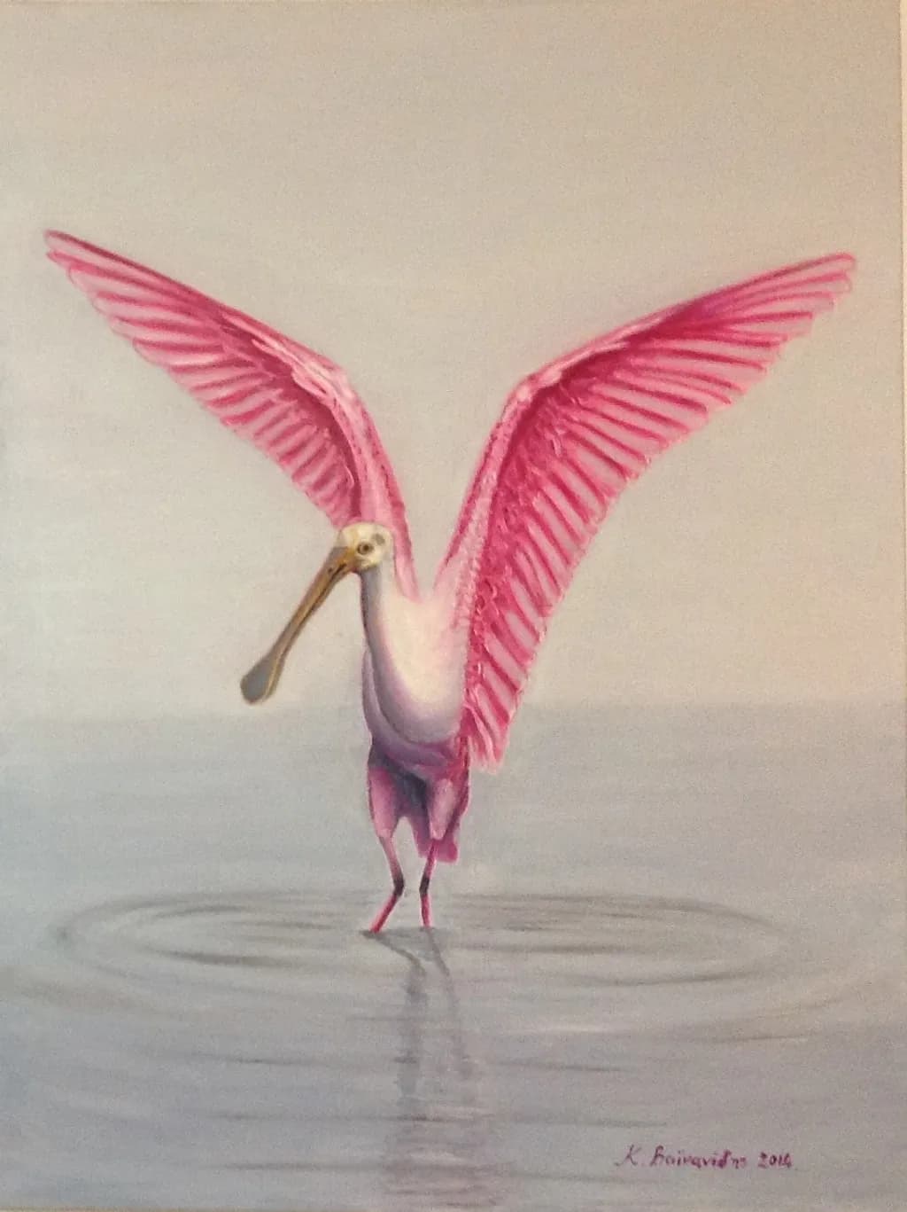 Pink Wings Spread