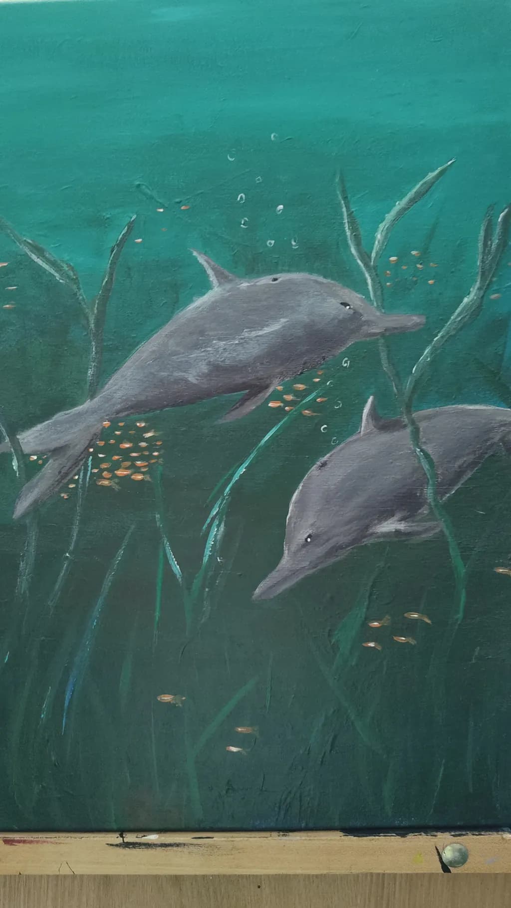 Curious Dolphins