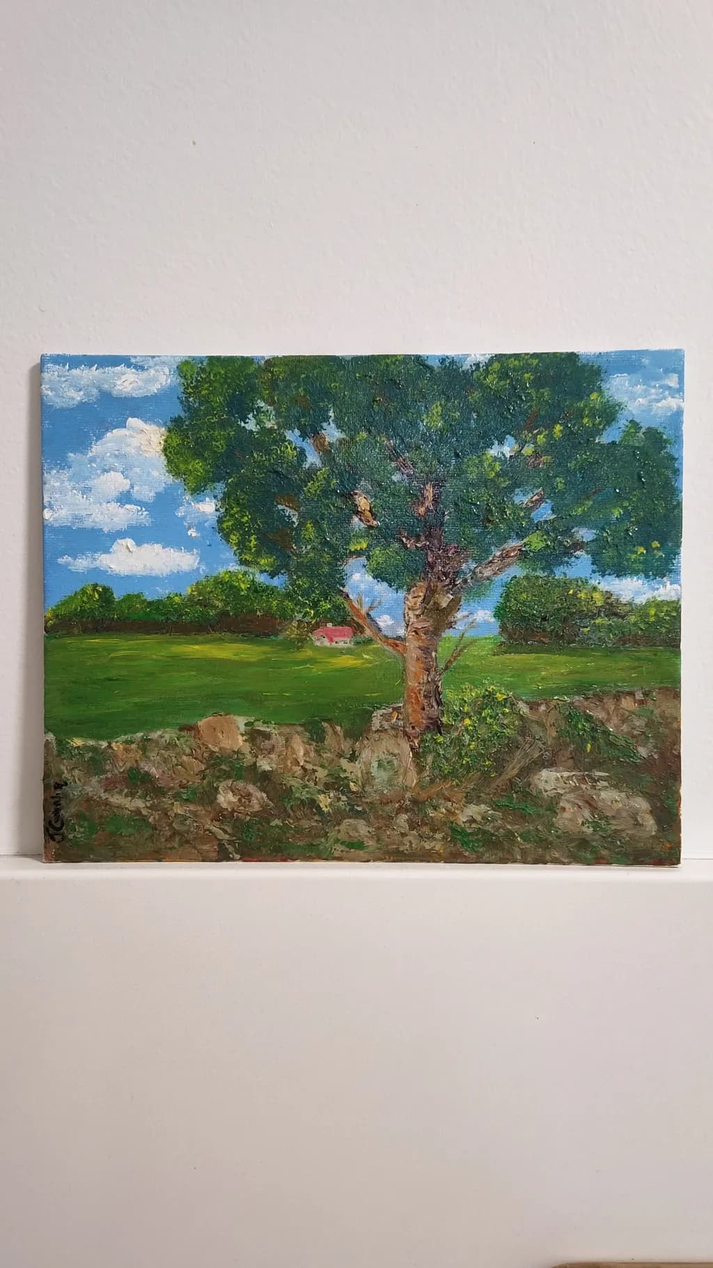 Stonewall Oak