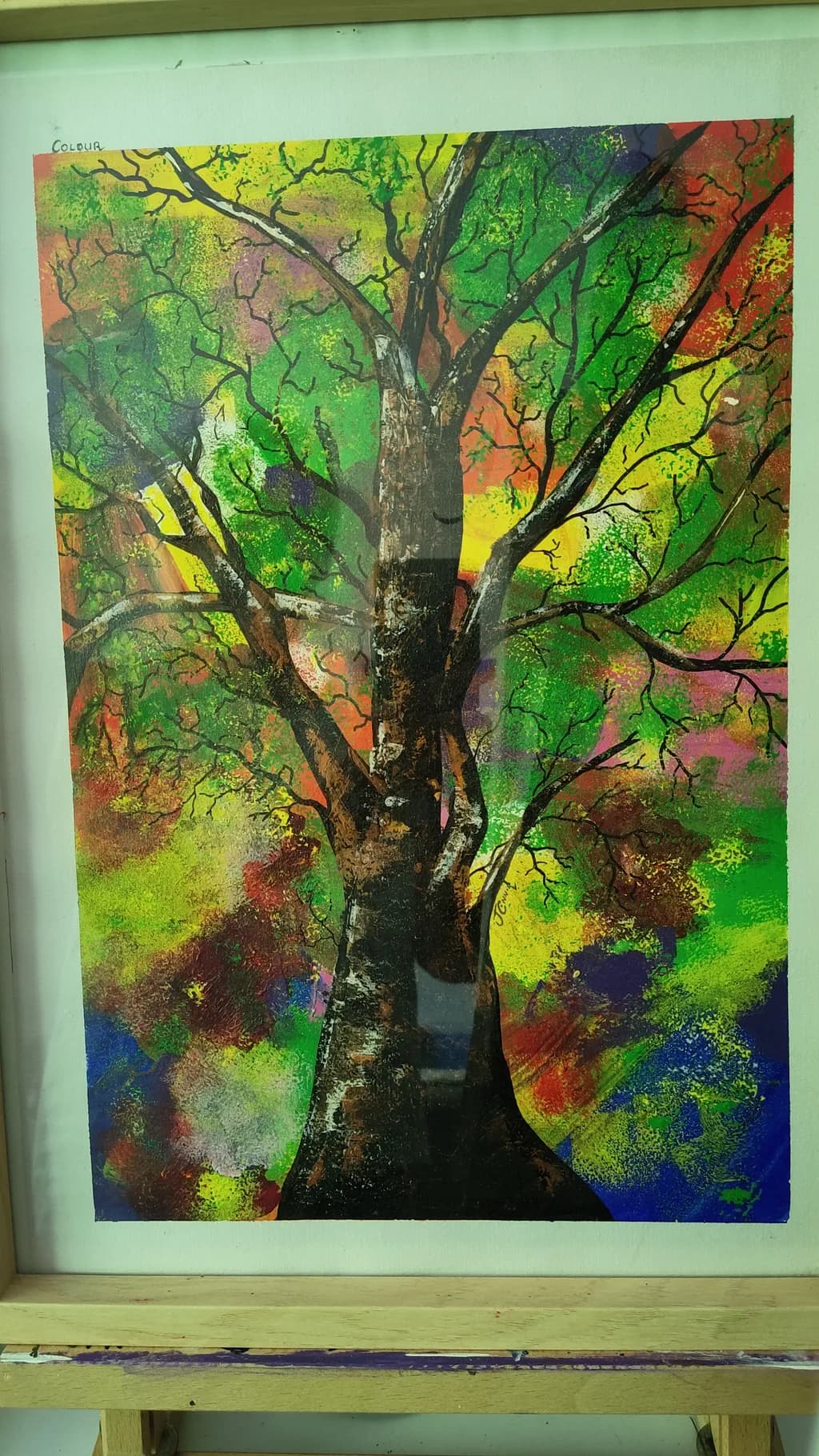 Chromatic Canopy