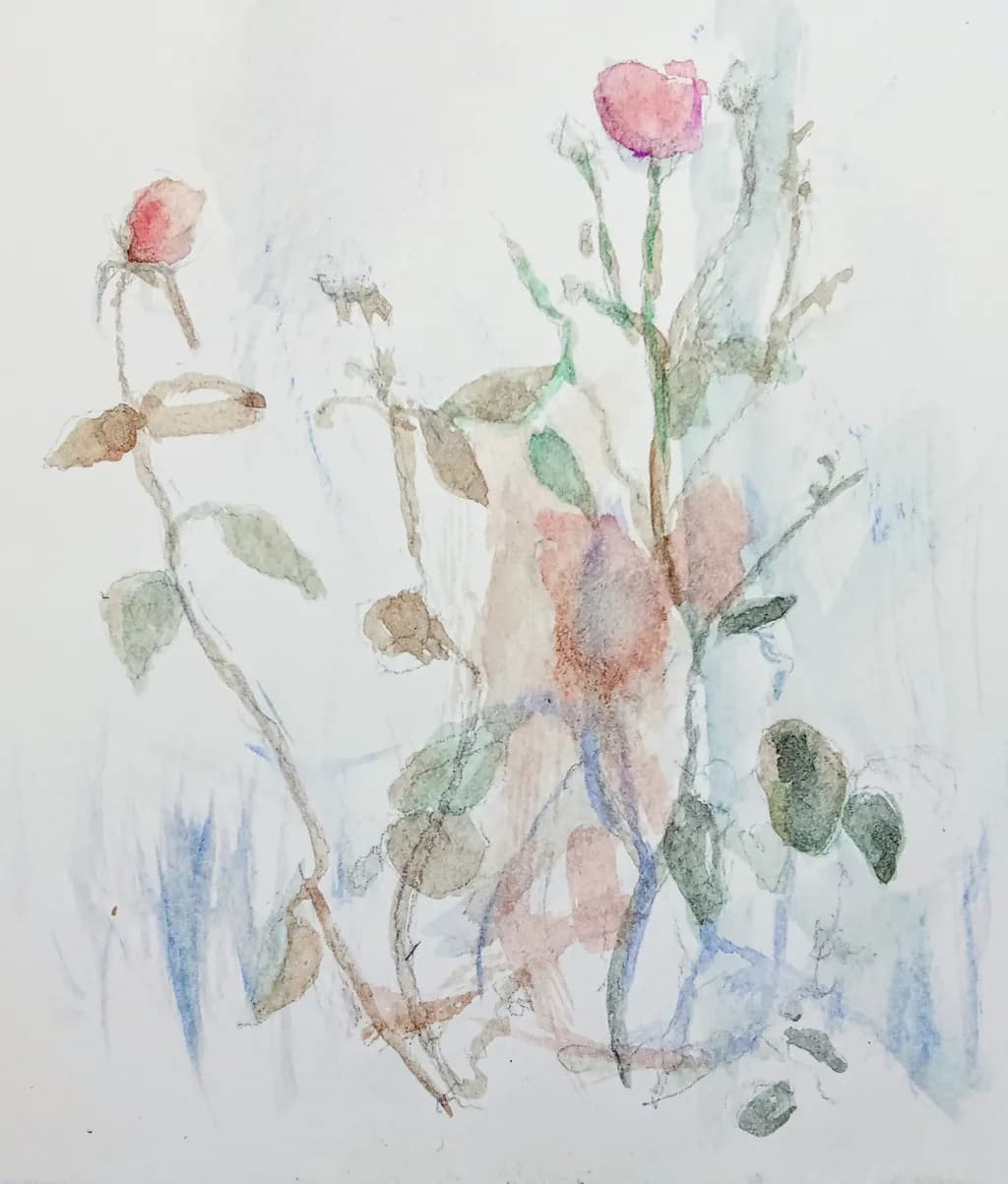 Whispers of Bloom: A Delicate Watercolor Dance of Roses
