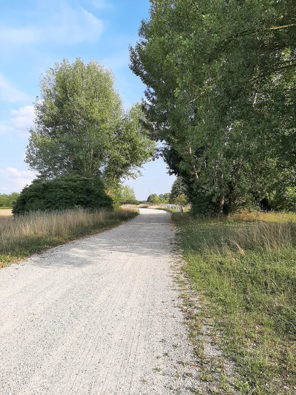 Whispers of Nature: A Serene Pathway Through Lush Greenery and Open Skies